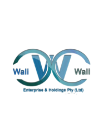 Waliwali Enterprise and Holdings